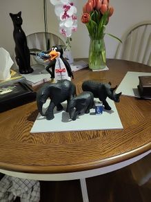 African Animals