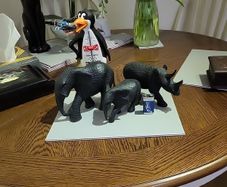 African Animals