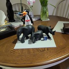 African Animals