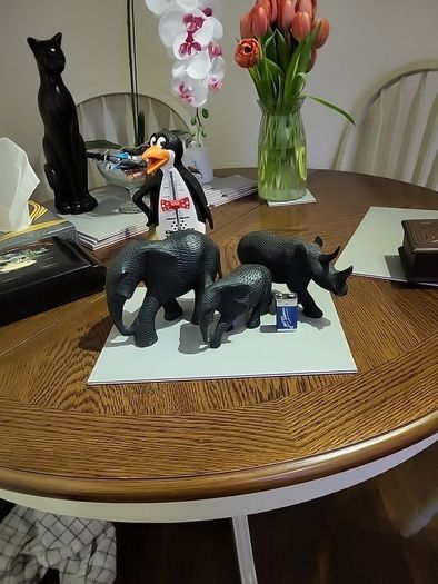 African Animals
