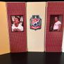 WWE Wrestling Figures (prices listed) Image 5