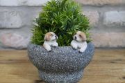 Small Dog Trough D9265
