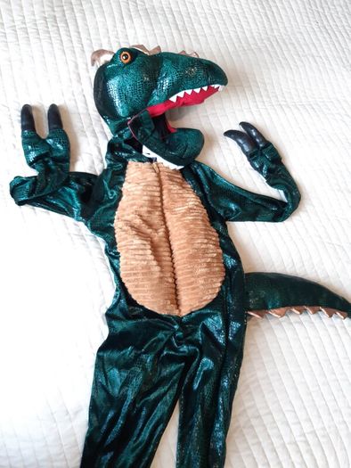 Dinosaur/Dragon Halloween Costume 5-6 years