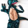 Dinosaur/Dragon Halloween Costume 5-6 years Image 3