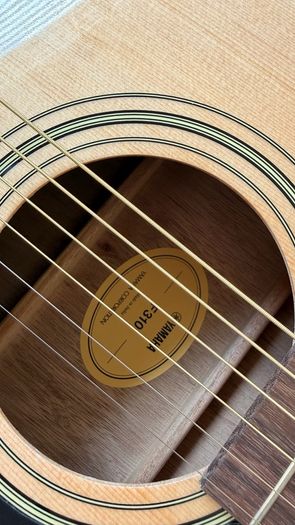 Yamaha F310 Guitar Set