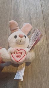 Small rabbit teddy, BNWT