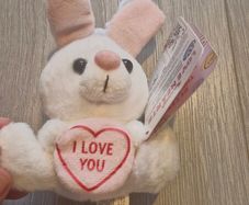 Small rabbit teddy, BNWT