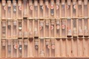 Selection of Stems &amp; Crowns in box