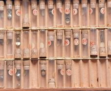Selection of Stems & Crowns in box