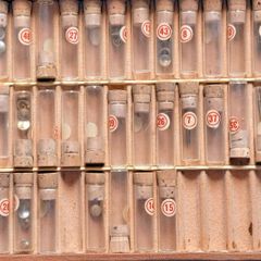 Selection of Stems & Crowns in box