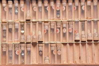 Selection of Stems & Crowns in box