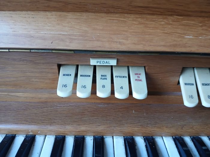 Electric Organ
