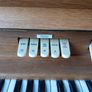 Electric Organ Image 3