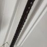walking stick Image 3