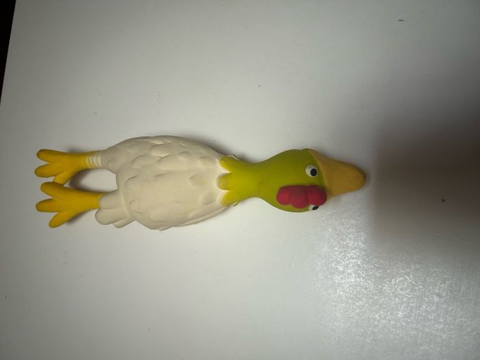 Rubber chicken. Pet toy
