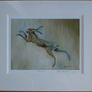 Hare prints Image 4