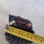 Romulus and Remus Brass / bronze  Figurine With Shell Dish as trinket dish / or ashtray. Image 6