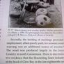 New survey of Clare Island History and cultural landscape Ireland Irish Mayo Image 8