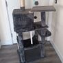 Cat Tree Image 4