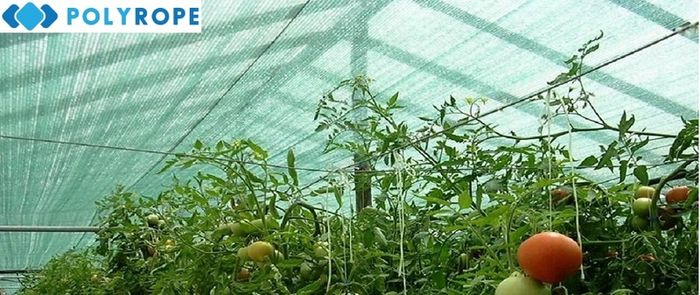 Shade net masking Privacy netting Green135 GSM