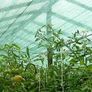 Shade net masking Privacy netting Green135 GSM Image 8