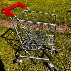 Kids Play Shopping Trolley