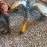 Dinosaur & animal figures Image 6