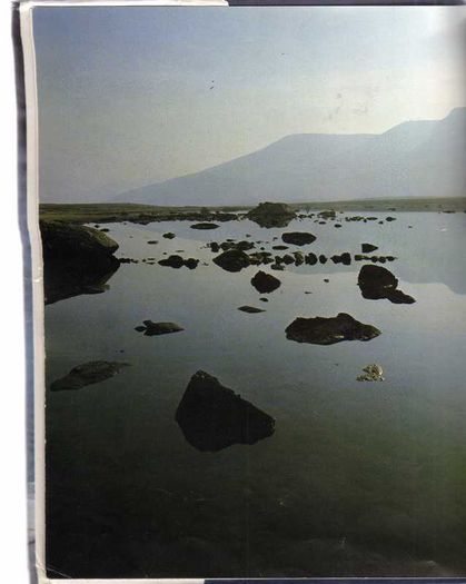 A Song For Ireland - Mary O'hara