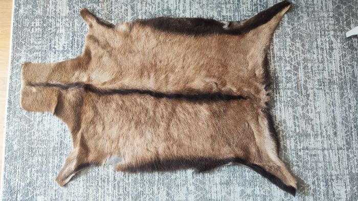 Genuine deer hide rugs