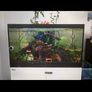 fish tank Image 4