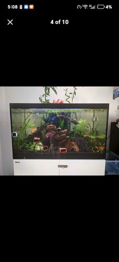 fish tank