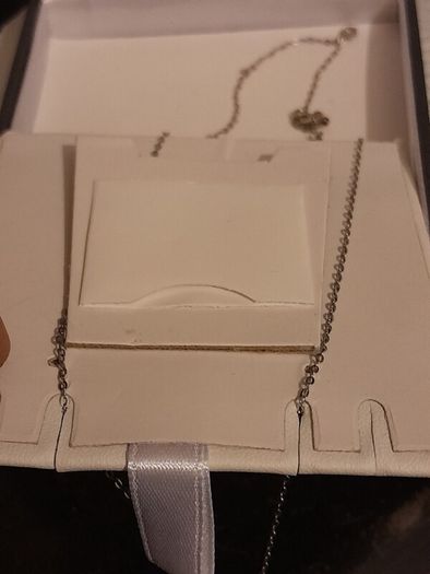 silver chain and pendant
