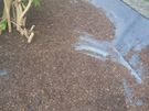lawn care landscape and garden services Image 7