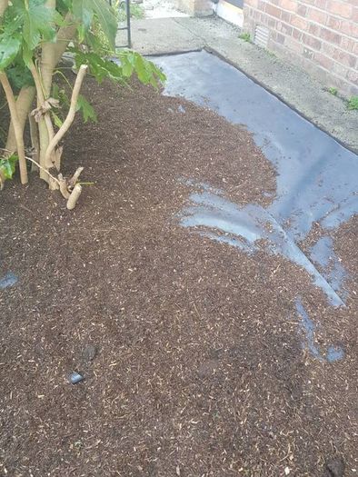 lawn care landscape and garden services