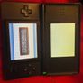 Nintendo DS lite Image 2