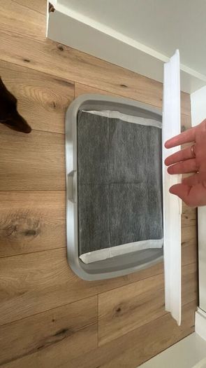 puppy training tray