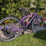 frog 69 bike Image 2
