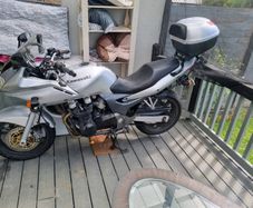 Kawasaki ZR7-S