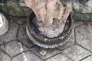 Garden Ornsment