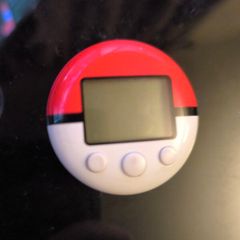 pokewalker