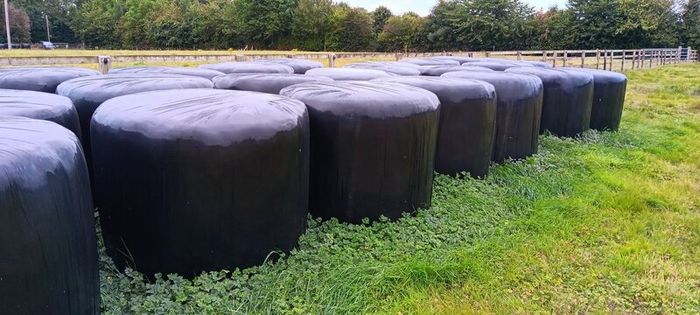 Haylage