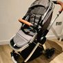 Babylo panorama 2 in 1 buggy Image 4
