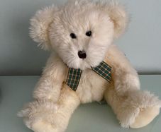 New Plush Teddy