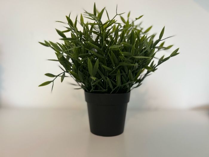 IKEA Fejka artificial plant