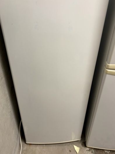 fridge Thor