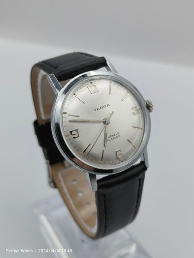 Vintage Swiss Tegra Watch