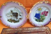 Two Display Plates