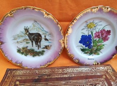 Two Display Plates