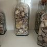 Sea shells in bottles Image 4