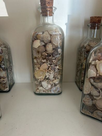 Sea shells in bottles